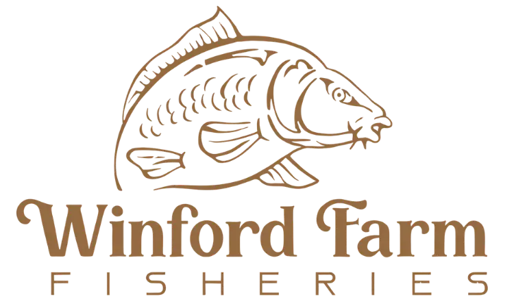 site logo